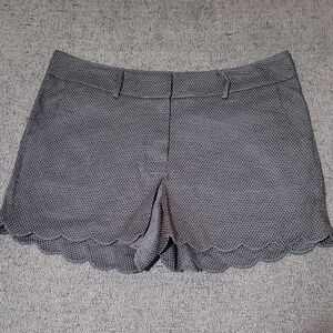 NWOT Market & Spruce High Waist Black Scalloped Textured Shorts SZ 14